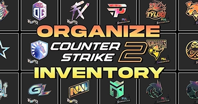 Orangize Counter-Strike Inventory